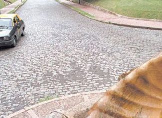 Remueven los adoquines de las avenidas porteñas y vuelve la polémica adoquin