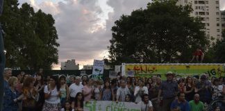 Colegiales: Vecinos participarán del diseño de la plaza Clemente plaza clemente, verde