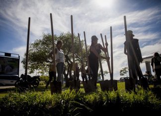 Plantarán 3000 árboles autóctonos a orillas del Riachuelo arboles