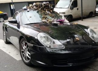 Lo va a pensar dos veces: Dejó el Porsche en la senda peatonal y lo llenaron de basura porsche