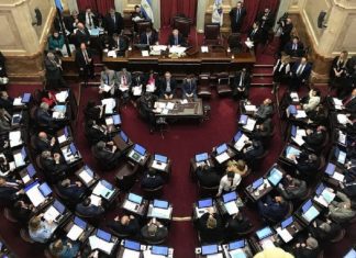 En un clima de fuertes polémicas, el Senado aprobó el Presupuesto 2019