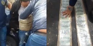 Detuvieron a tres “arbolitos” que llevaban 700.000 dólares pegados al cuerpo