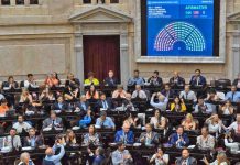 El Senado sesionara la suspensión de las PASO el jueves y un día después discutiría el pliego de Lijo ante la Corte.