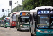 Transporte público gratuito en la provincia de Buenos Aires durante las elecciones