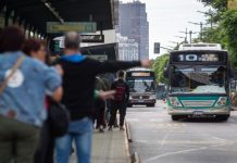 Paro total de colectivos en el sur del conurbano bonaerense: más de diez líneas afectadas por la falta de pago salarial