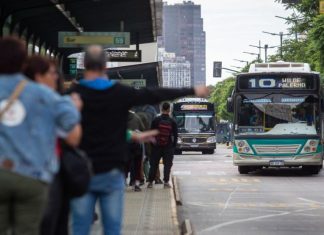 Paro total de colectivos en el sur del conurbano bonaerense: más de diez líneas afectadas por la falta de pago salarial