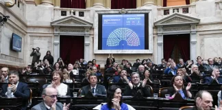 Diputados rechazó el veto de Milei a la Ley de Emergencia en Discapacidad